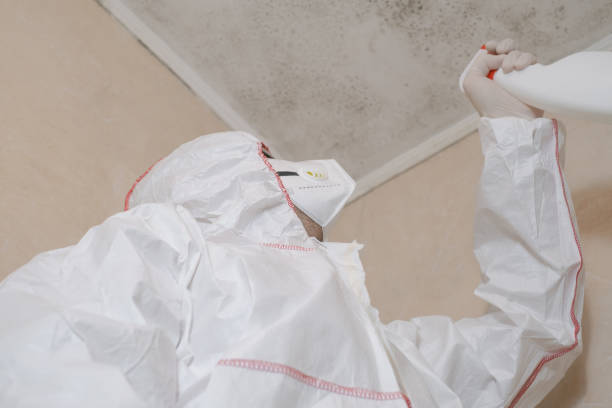 Best Mold Remediation  in Silver Hill, MD